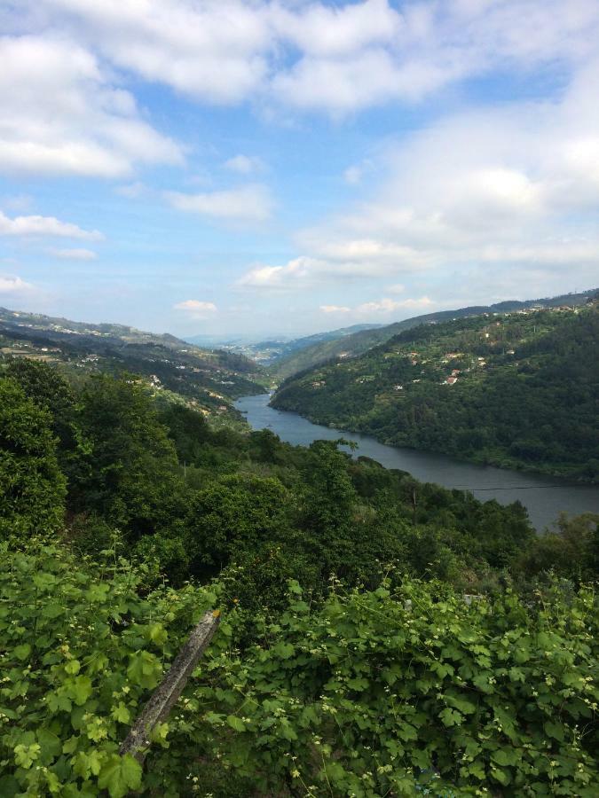 Quinta De Catapeixe Douro River Magrelos Buitenkant foto