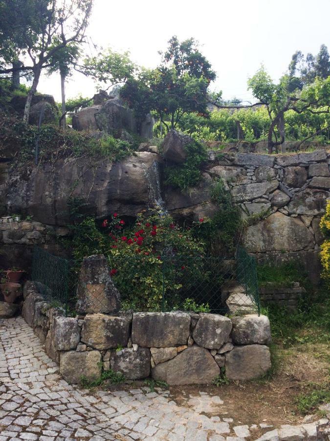 Quinta De Catapeixe Douro River Magrelos Buitenkant foto