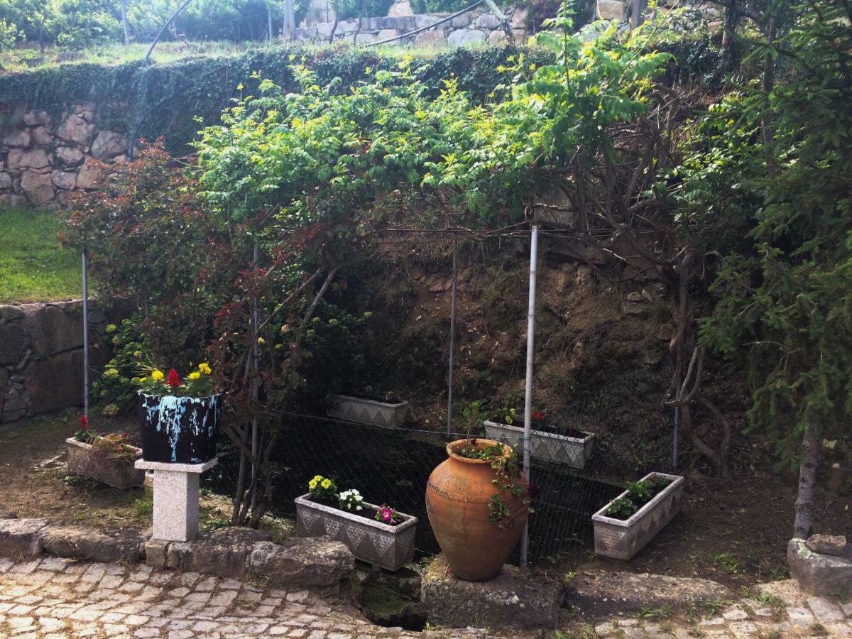 Quinta De Catapeixe Douro River Magrelos Buitenkant foto